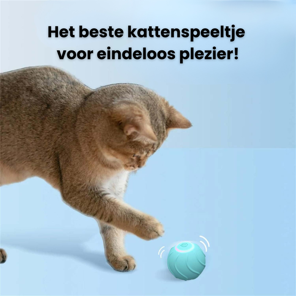 BounceBuddy | Springende katten speelbal | 30% korting