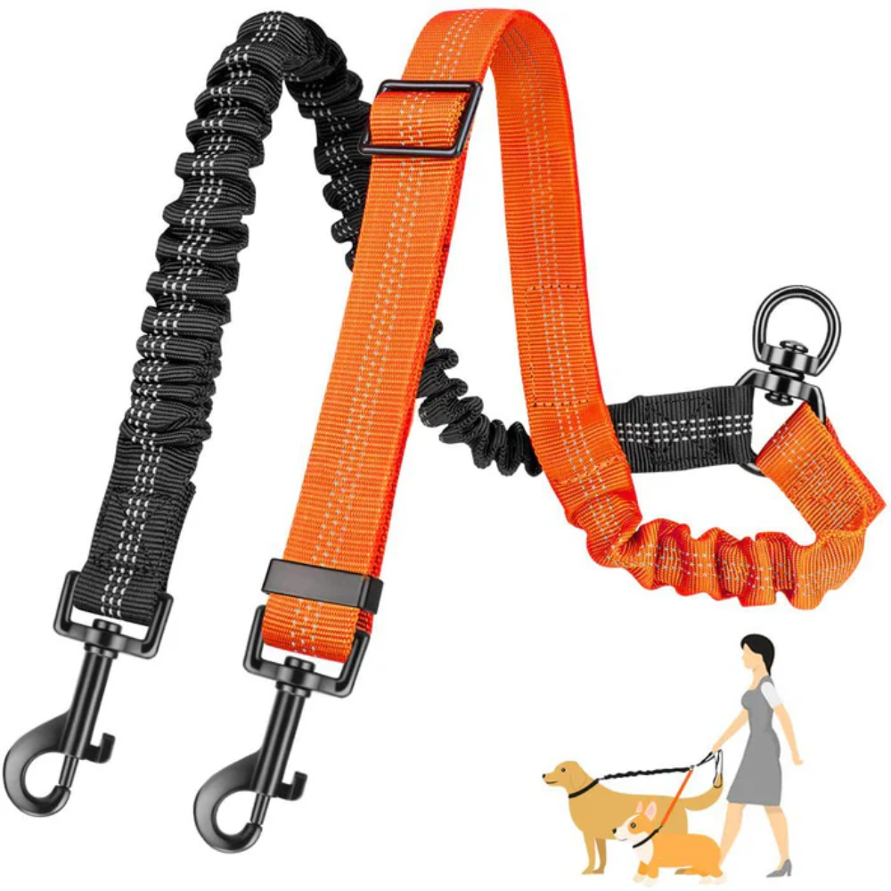 PawLeash | Reflecterende Elastische Hondenriem | 50% korting