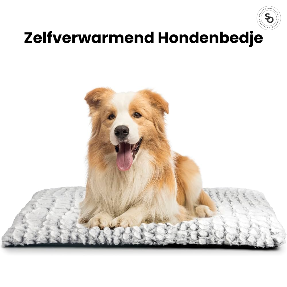 Zelfverwarmend hondenbedje | 50% korting