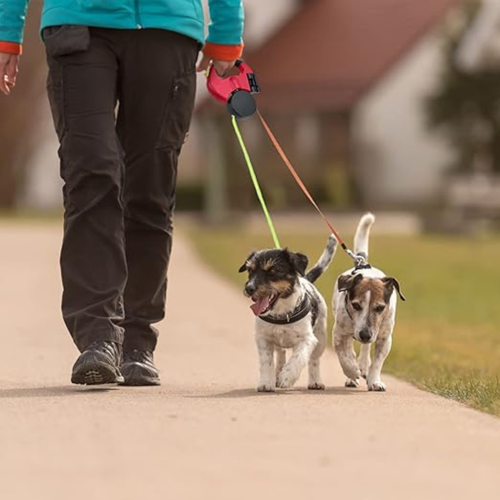 DuoLeash™ Hondenriem | Moeiteloze wandelingen met al uw Honden | 50% korting