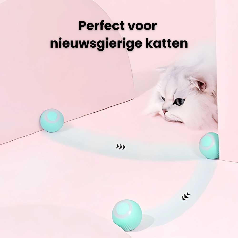 BounceBuddy | Springende katten speelbal | 30% korting