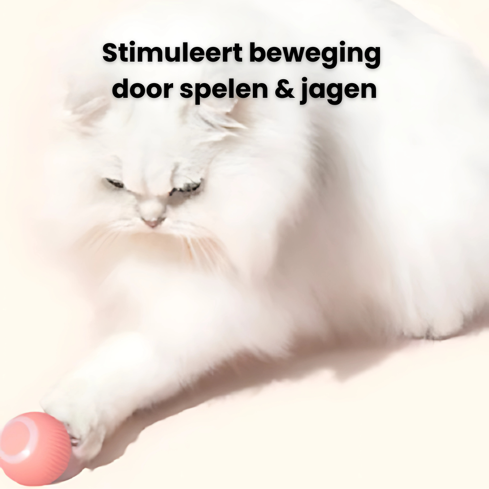 BounceBuddy | Springende katten speelbal | 30% korting