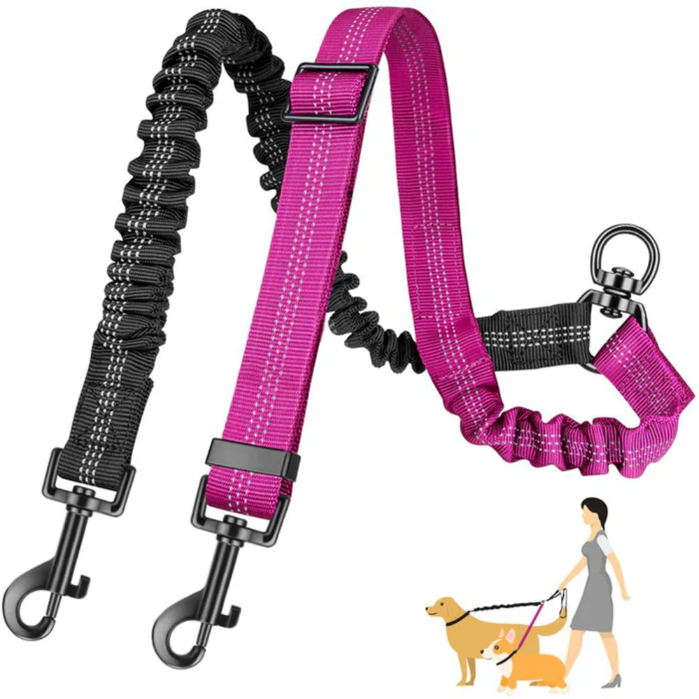 PawLeash | Reflecterende Elastische Hondenriem | 50% korting