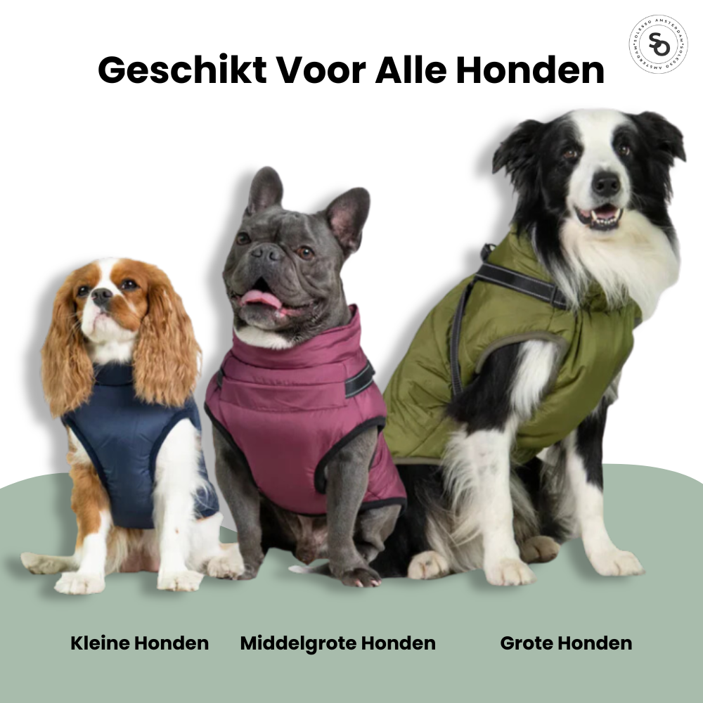 Pawy™ | 3 In 1 Honden Jas met Harnas