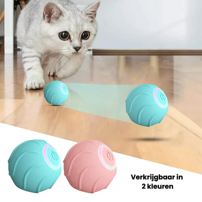 BounceBuddy | Springende katten speelbal | 30% korting