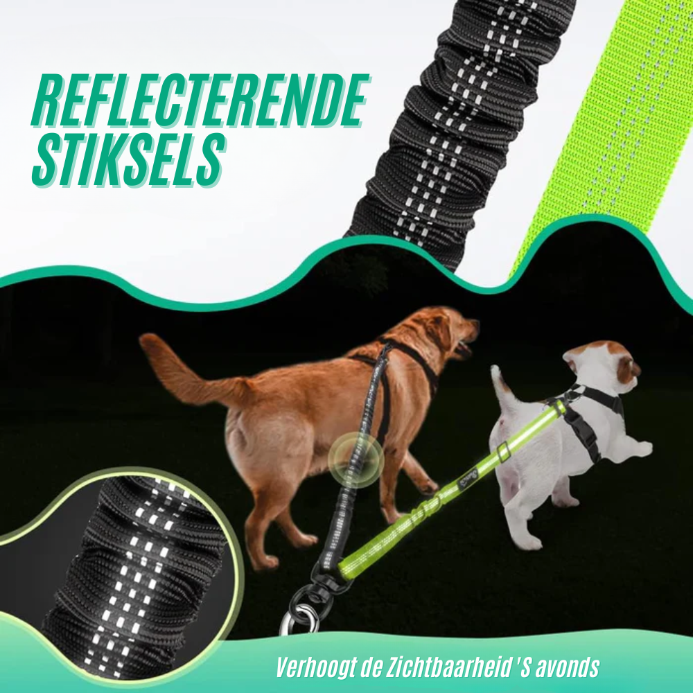 PawLeash | Reflecterende Elastische Hondenriem | 50% korting